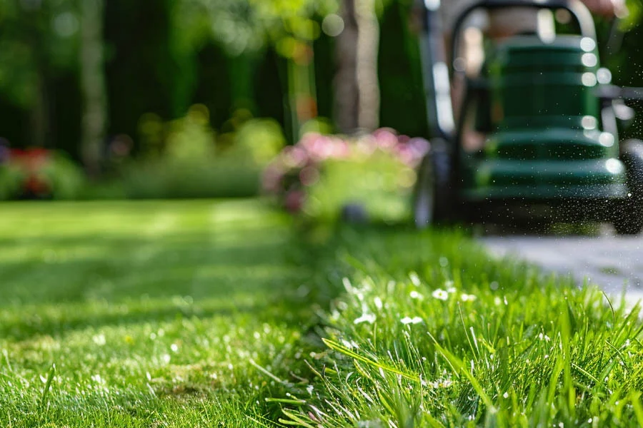 lawn mowers cordless